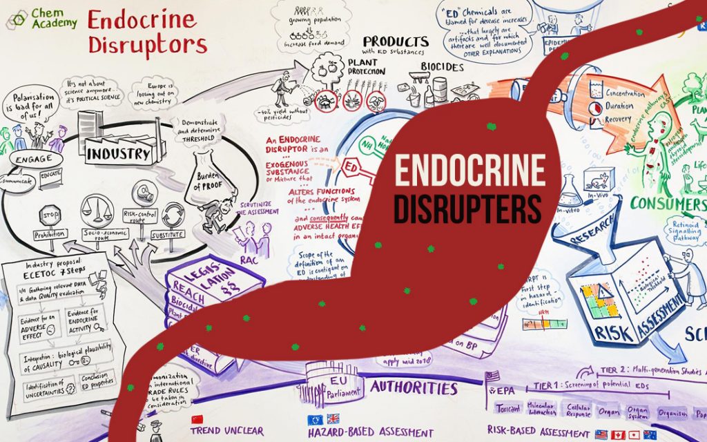 Global Assessment of the State-of-the-Science of Endocrine Disruptors" (2002)